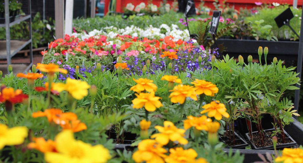 Kumeu Garden Hub Kumeu Garden Hub Auckland